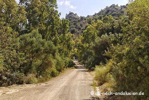 Radtour Via Verde Coripe