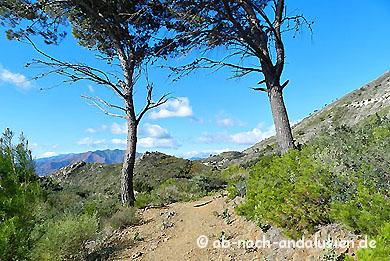 Sierra de Mijas
