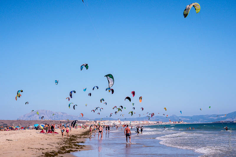 Tarifa