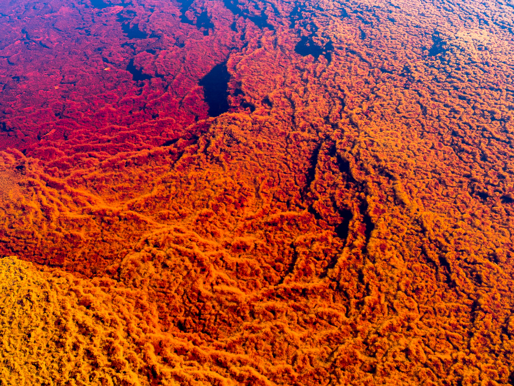 Río Tinto Huelva
