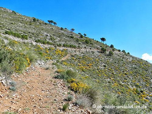Sierra De Mijas