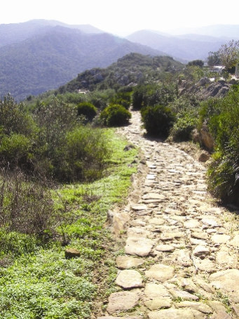 Castellar de la Frontera