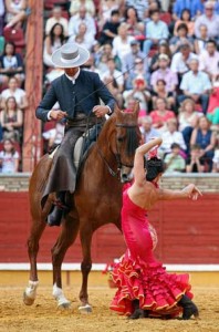 Dressur Reiten Andalusien