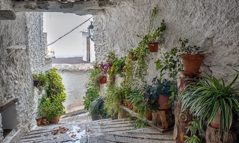 alpujarra almeria